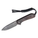 CIVIVI Knives C2105-DS1 Elementum Fixed Blade Knife 3.98 inch Damascus Blade, Ebony Wood Handles, Kydex Sheath
