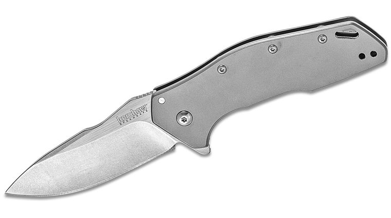 Kershaw 1881 Eris Assisted Flipper 3