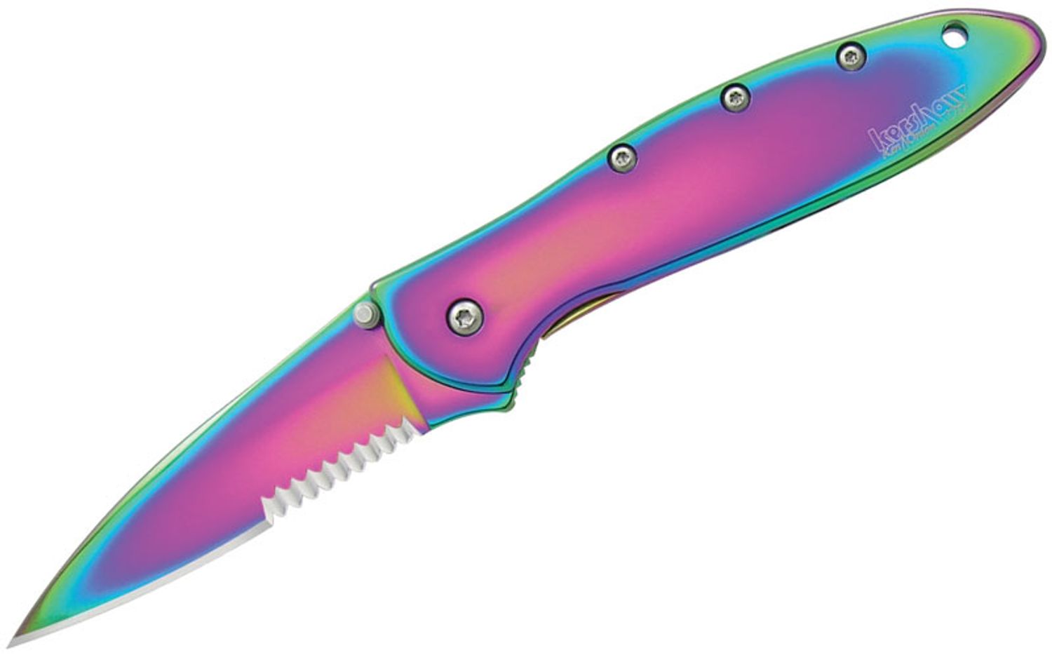 Kershaw 1660VIBST Rainbow Leek Assisted 3