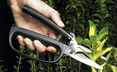 Reviews and Ratings for OXO Good Grips Garden Scissors