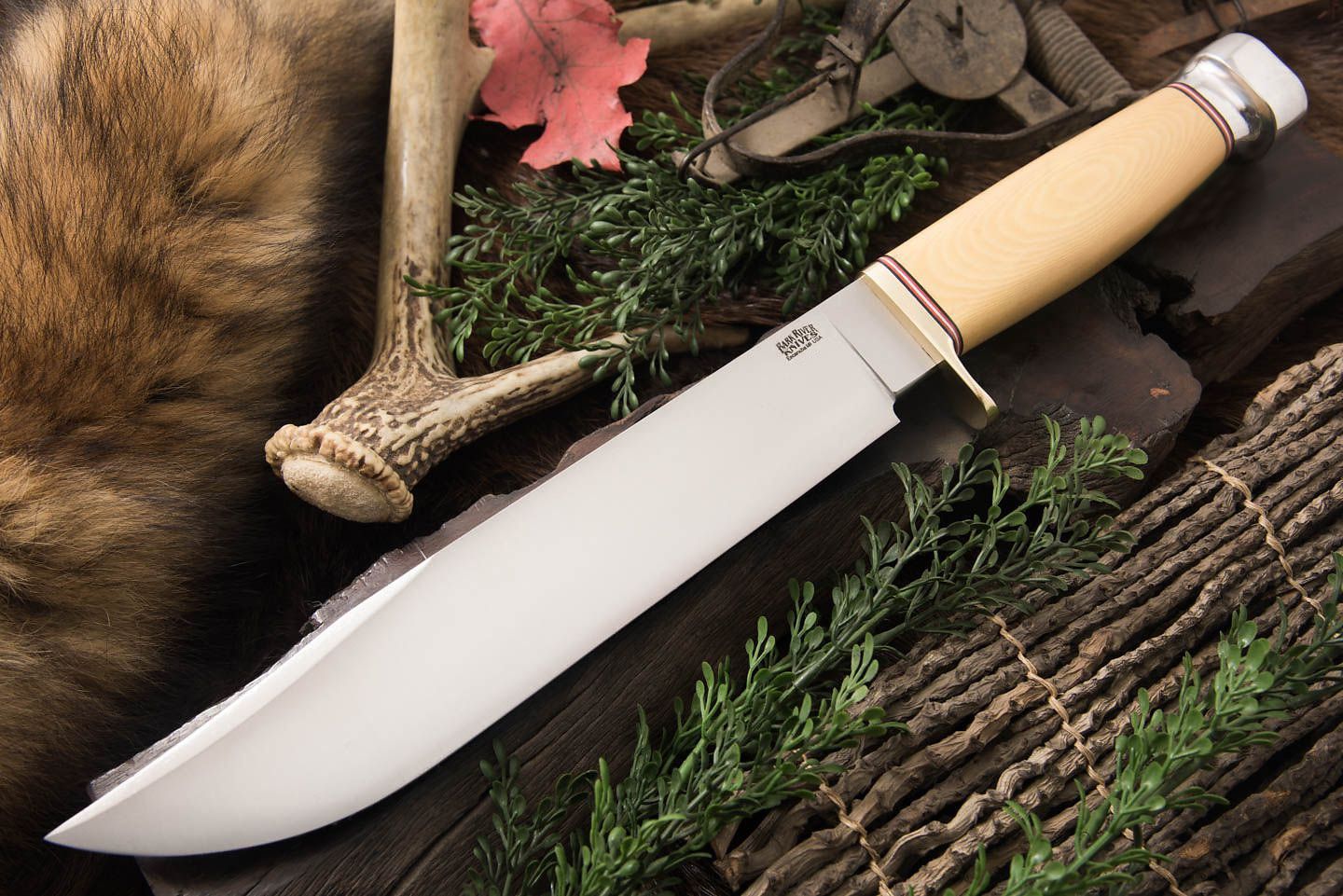 Timber Wolf Appalachian Ivory Bowie / Fixed