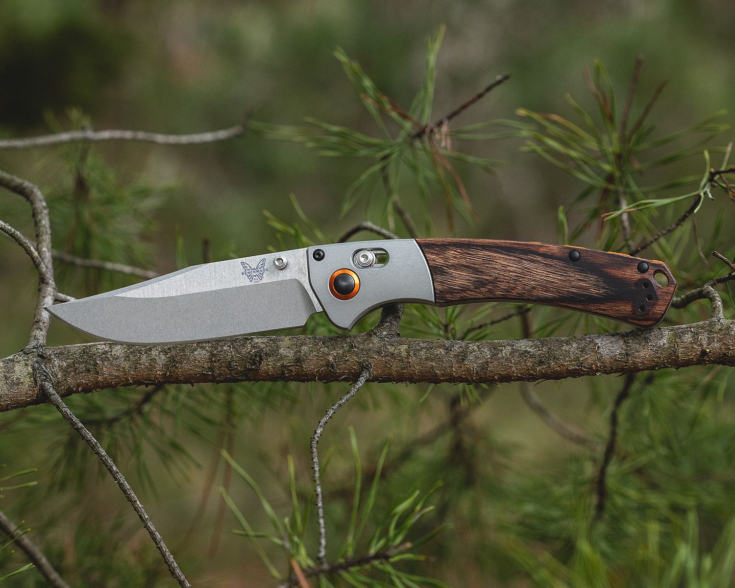 Modern folding hunting knife pictured outside balanced on tree branch