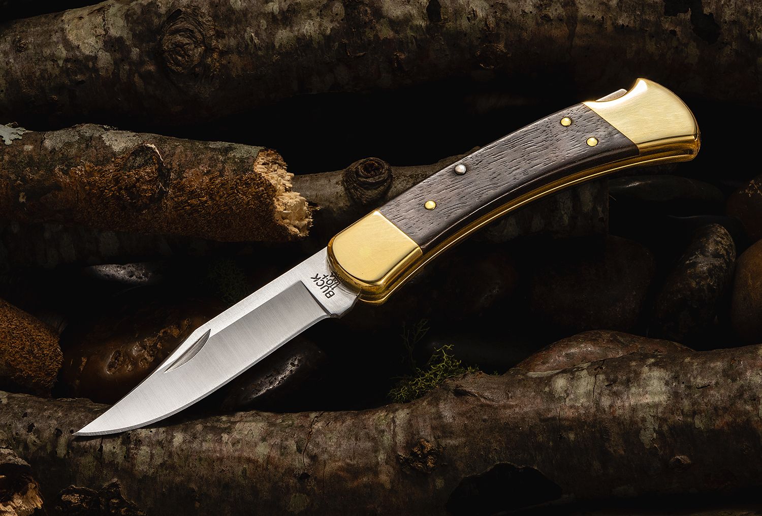Buck 110 Folding Hunter Knife, 3 1/4 Blade - Featuring Gold Bolsters and  Genuine Crelicam™ Ebony Handle Scales