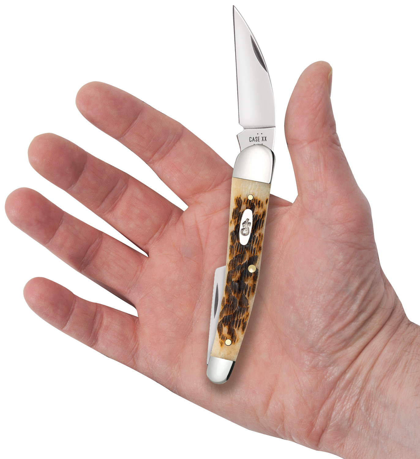 Case Peach Seed Jig Amber Bone Seahorse Whittler Pocket Knife 4
