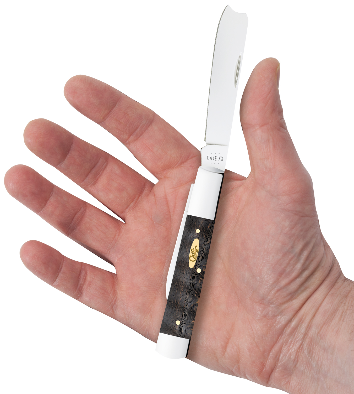 Case Smooth Black Curly Oak Razor Pocket Knife 3.88