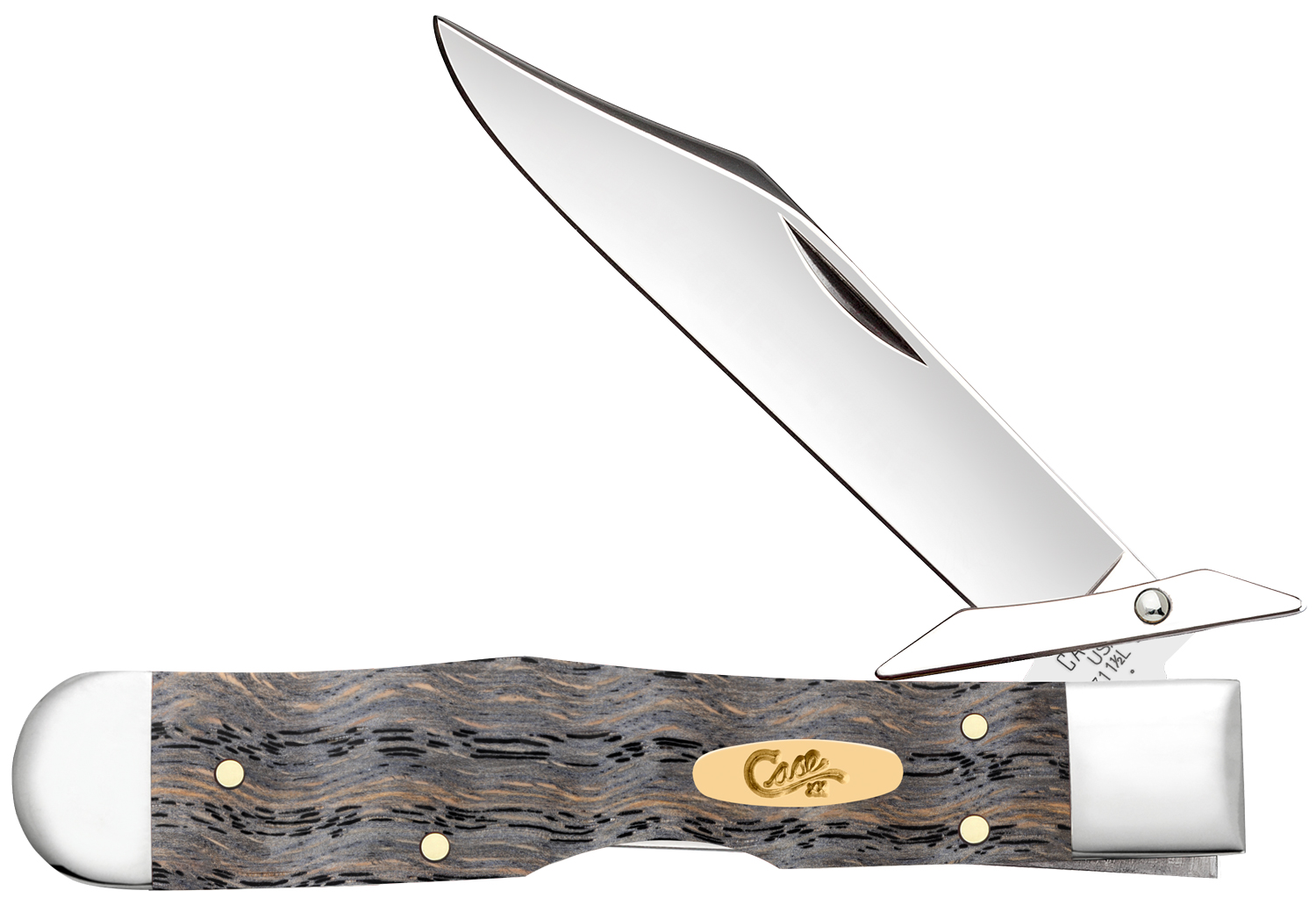 Case Smooth Black Curly Oak Cheetah Cub Pocket Knife 3.5