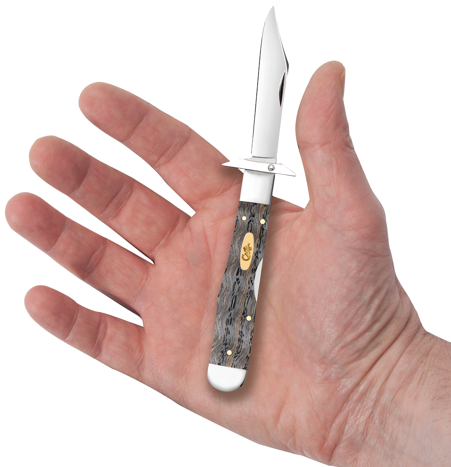 Case Smooth Black Curly Oak Cheetah Cub Pocket Knife 3.5