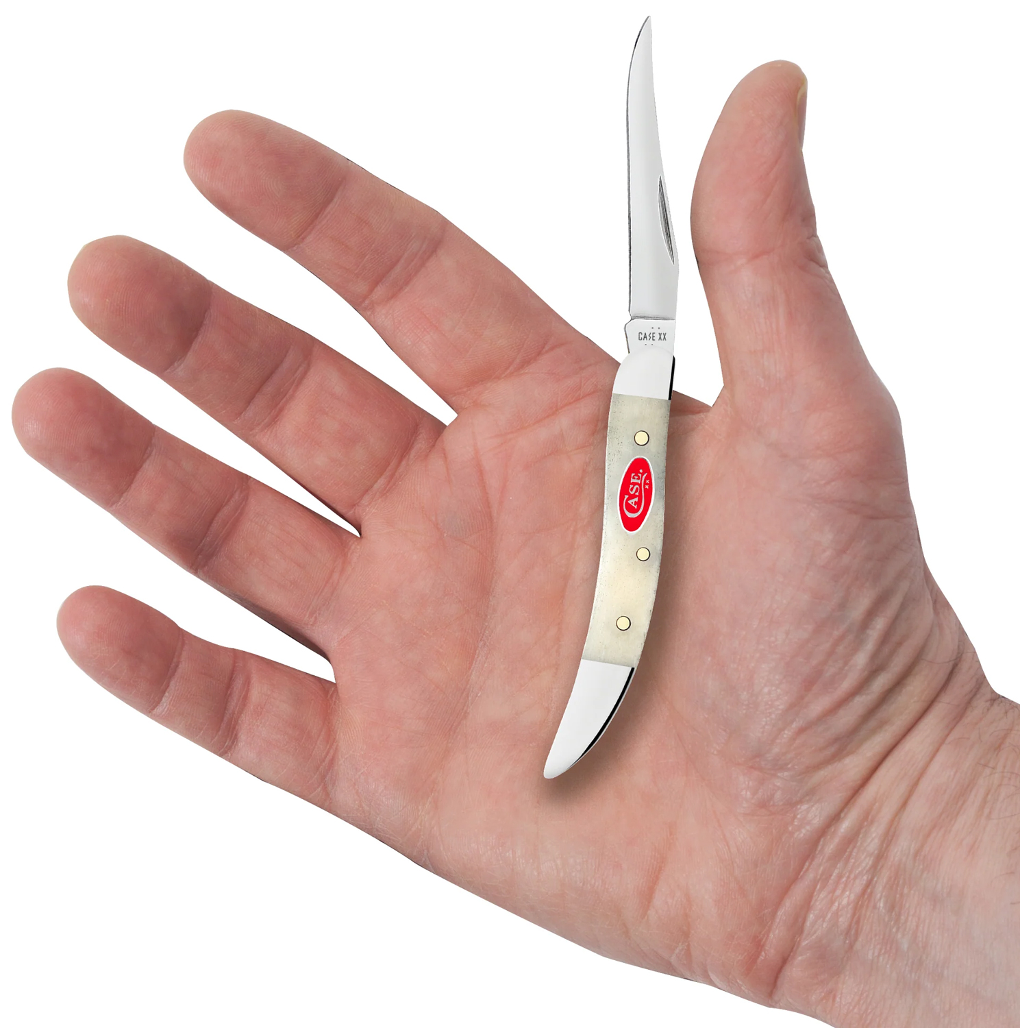 Case Smooth Natural Bone Small Texas Toothpick Pocket Knife 3