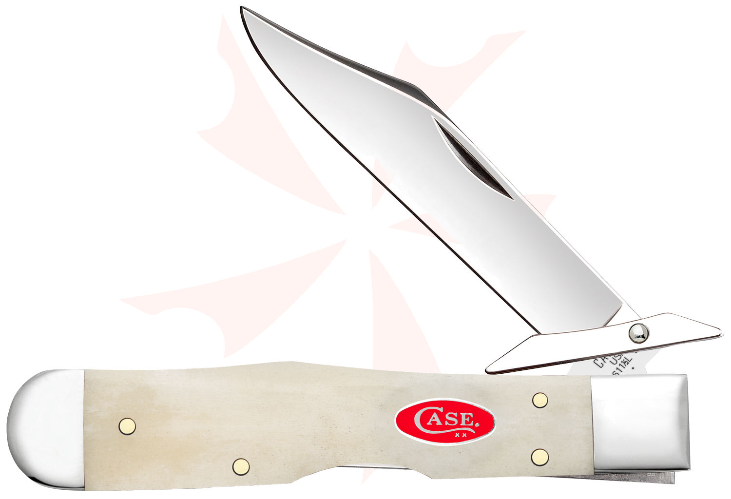 Case Smooth Natural Bone Cheetah Cub Pocket Knife 3.5