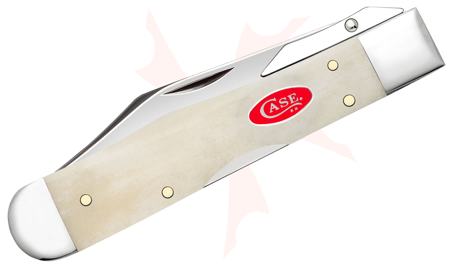 Case Smooth Natural Bone Cheetah Cub Pocket Knife 3.5