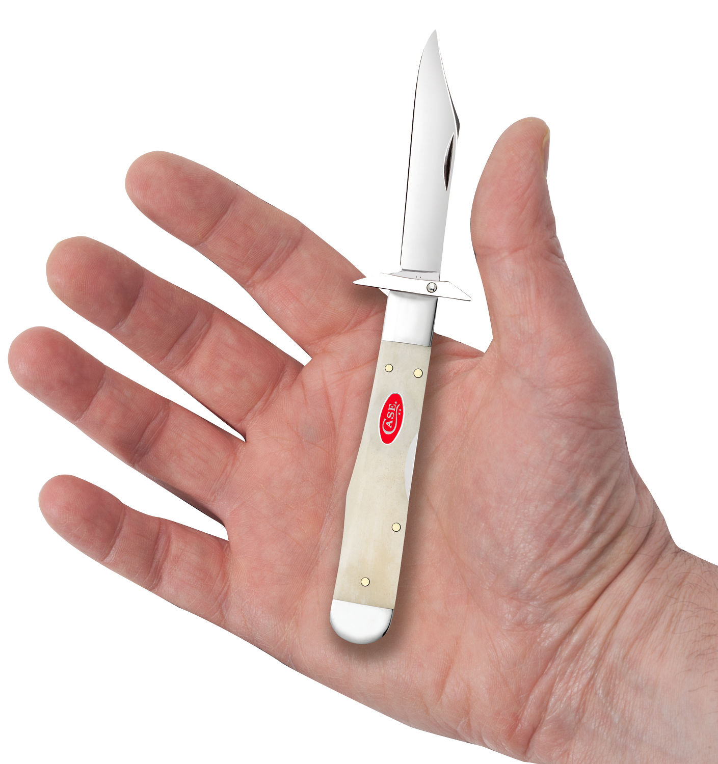 Case Smooth Natural Bone Cheetah Cub Pocket Knife 3.5