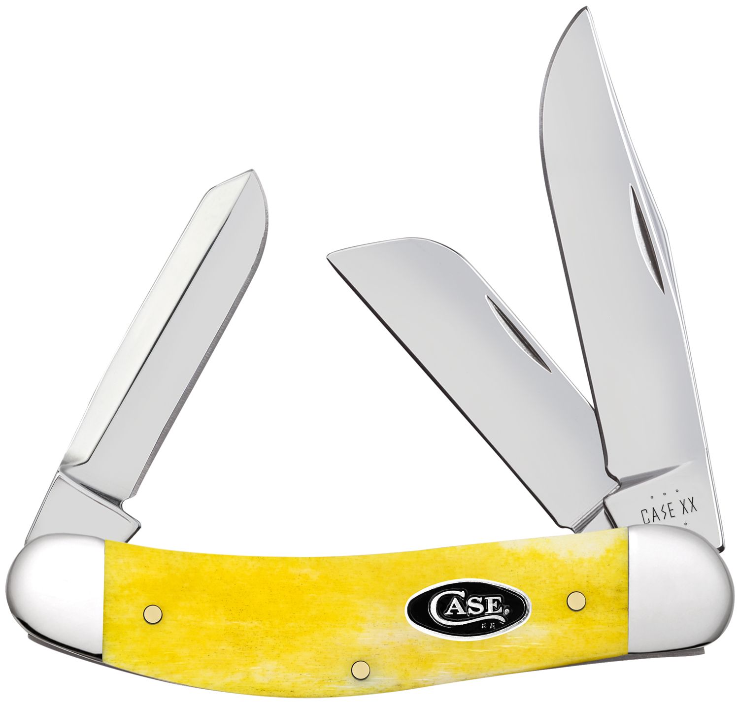 Case Bose Smooth Yellow Bone Sowbelly 3.88 Closed (TB6339 SS) -  KnifeCenter - 20036
