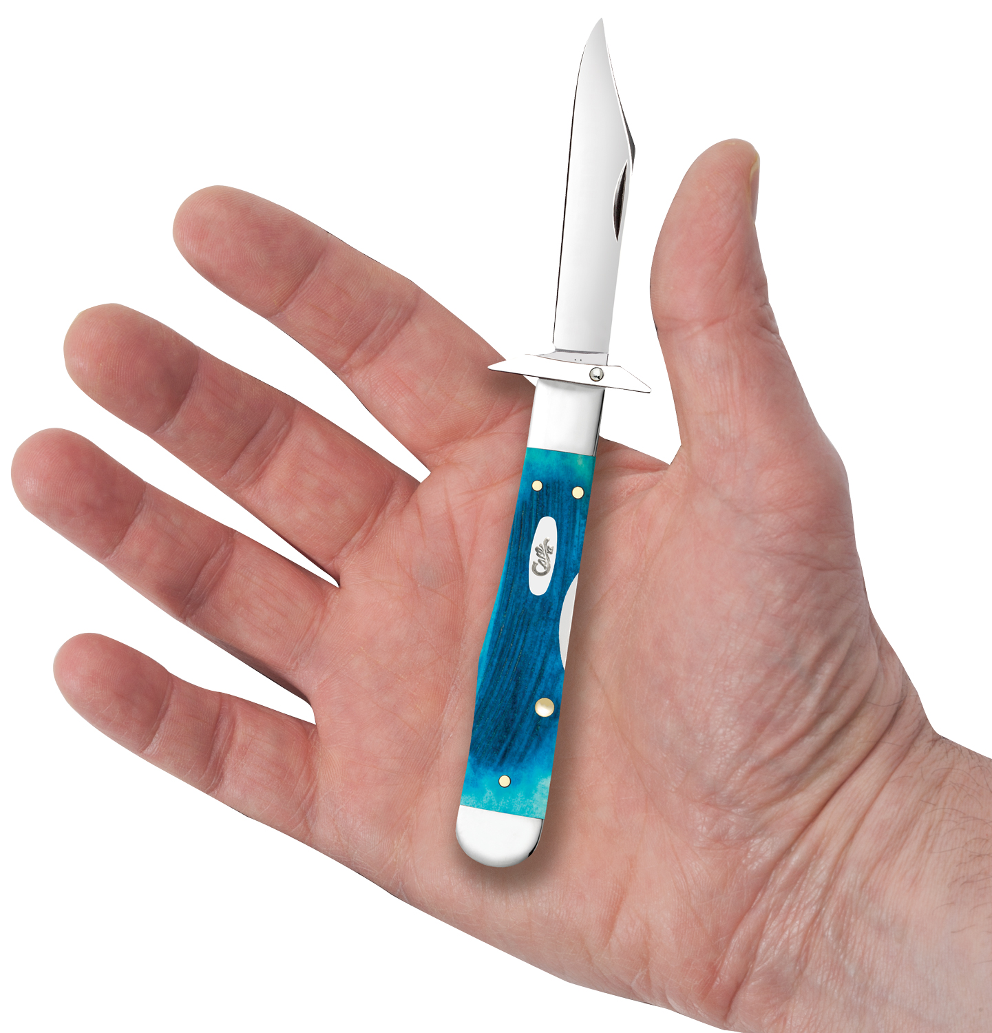 Case Sawcut Jigged Caribbean Blue Bone Cheetah Cub Pocket Knife