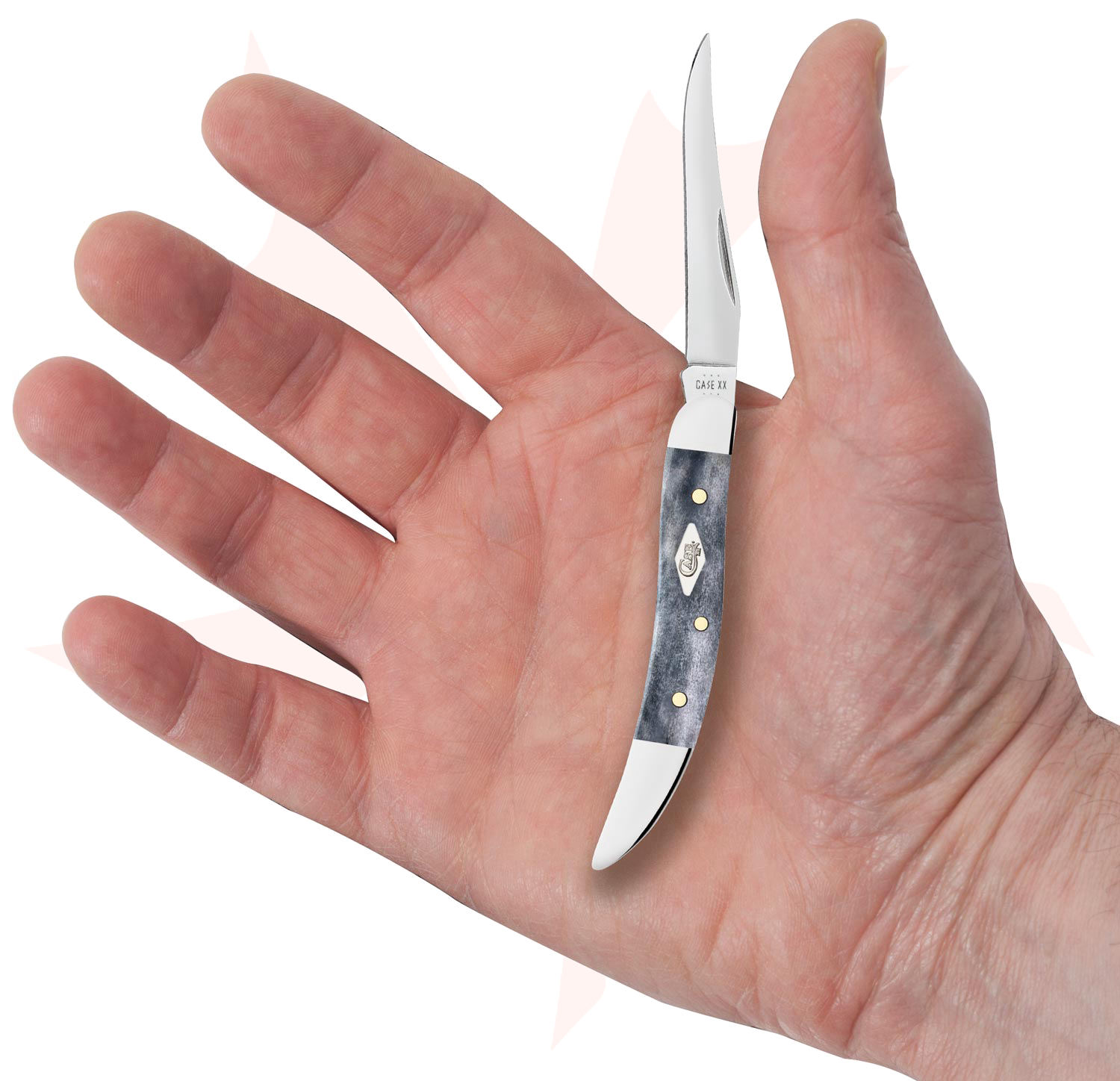Case Smooth Gray Bone Small Texas Toothpick Pocket Knife 3