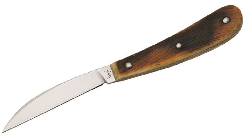 Case 31749 Sawcut Antique Bone Desk Knife 617 3 154 Cm