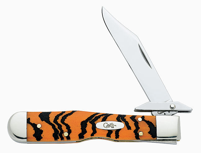 チータ　Cheetah チーター（ガラス放飼場）：Cheetah（猎豹）＠多摩動物公園