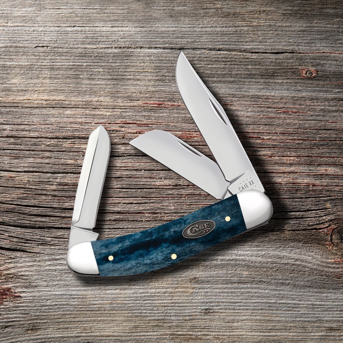 Case Knives: Case Bowie Knife Sheath, CA-50419