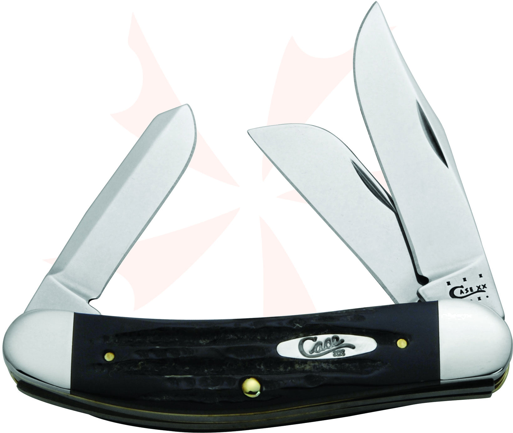 Case Jigged Buffalo Horn Sowbelly 3-7/8