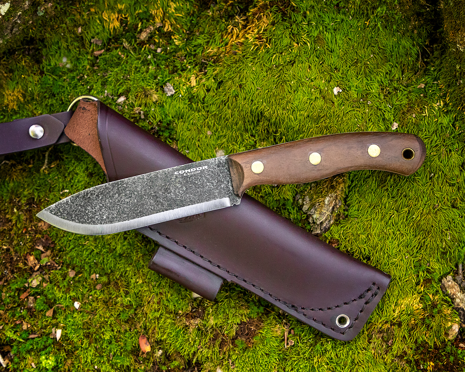 Condor Tool & Knife CTK3954-4.7HC Bisonte Fixed Blade Knife 4.7 