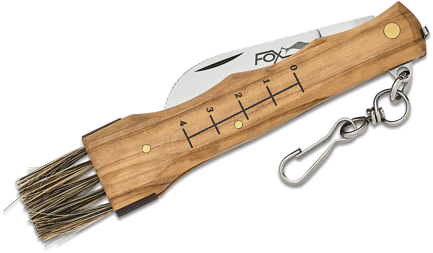 FoxKnives MUSHROOM KNIFE 405 OL Fixed Mushroom Knife AISI 420C Stainless Steel