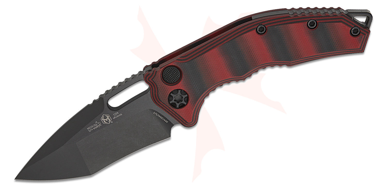 Pasalidognathus modestus　69mm 62mm Pasalidognathus modestus 69mm 62mm Psalidognathus modestus Fries, 1833