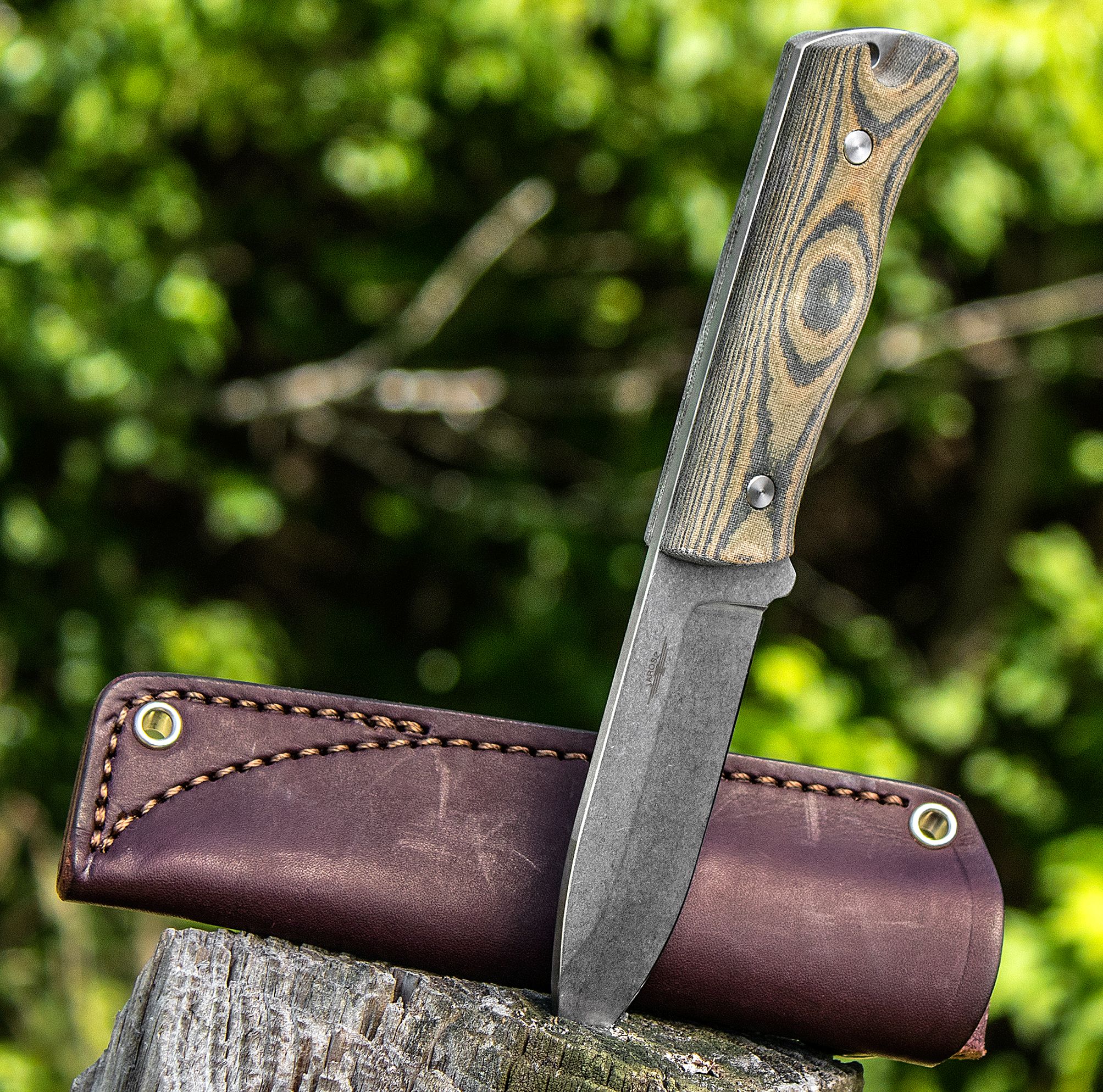 Jesse Jarosz Custom Woodsman Fixed 3.875