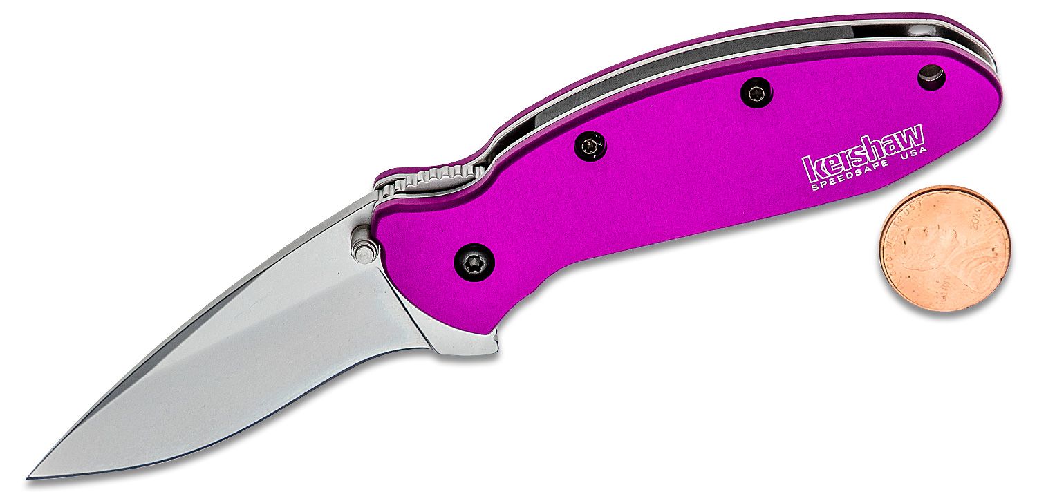  Kershaw Purple Scallion Pocket Knife, 2.25” Stainless Steel  Blade with Assisted Opening, Aluminum Handle with Single-Position  Pocketclip, Small Folding Knife : Tools & Home Improvement