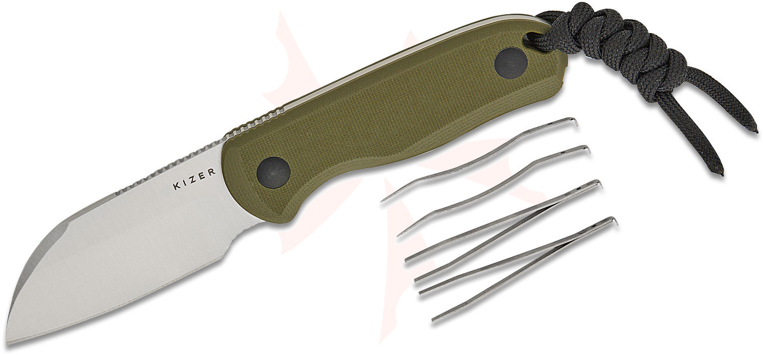 Kizer Cutlery 1093A1 Azo Drop Bear Fixed Blade Knife 2.56