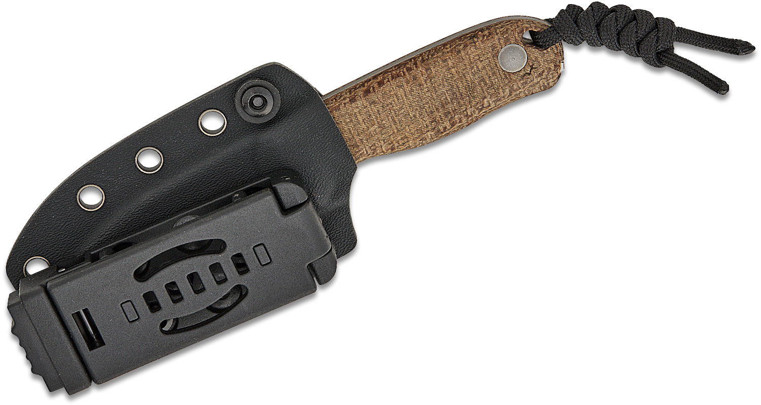 Kizer Cutlery 1094A1 Azo Drop Bear Fixed Blade Knife 2.6