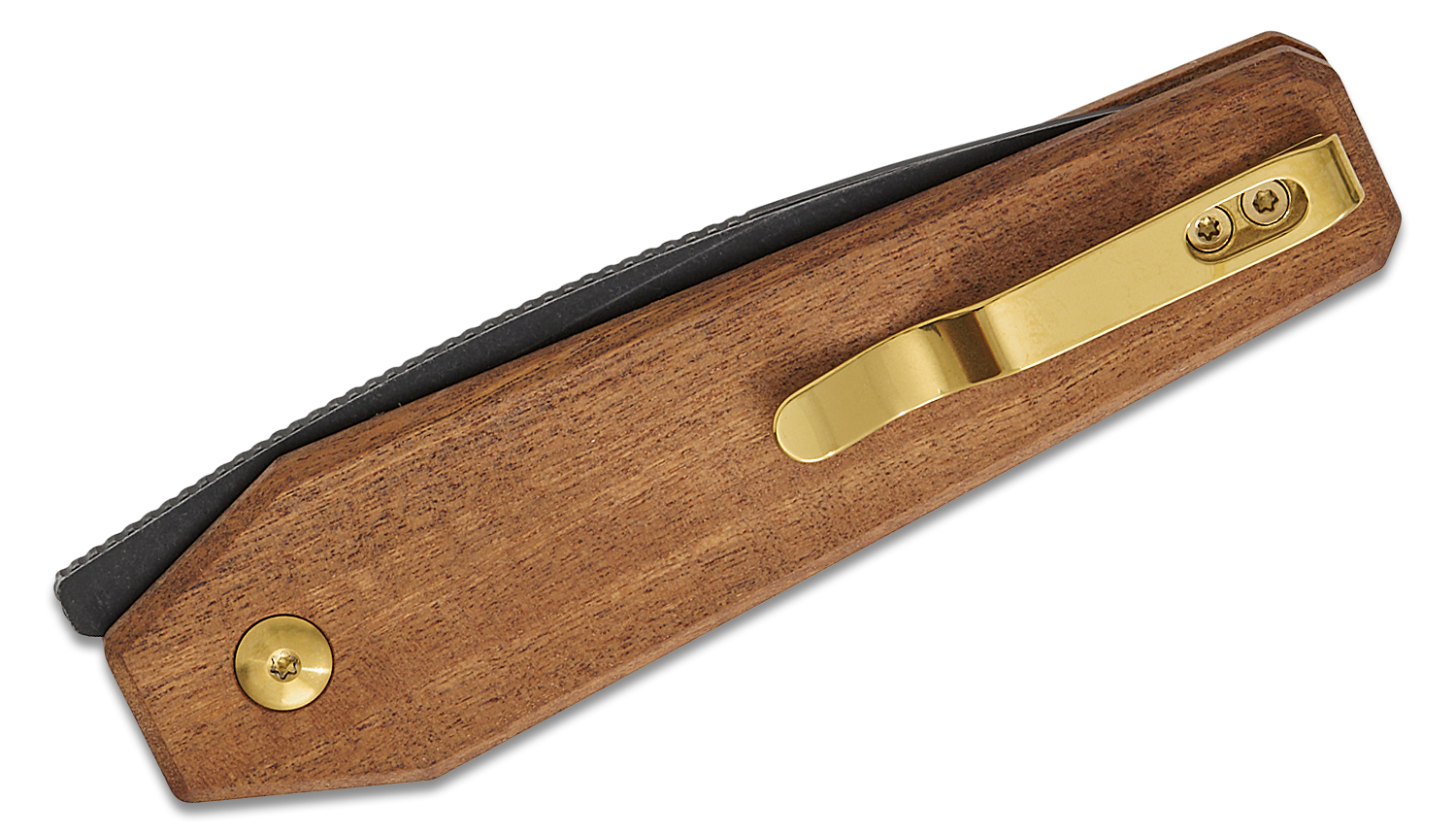 Kizer Cutlery Vanguard Bradley Diaz Tomb Button Lock Front