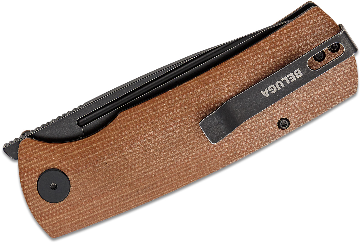 Petrified Fish PFP01 Beluga Cuchillo Plegable 3.62 Inch Cuchilla De