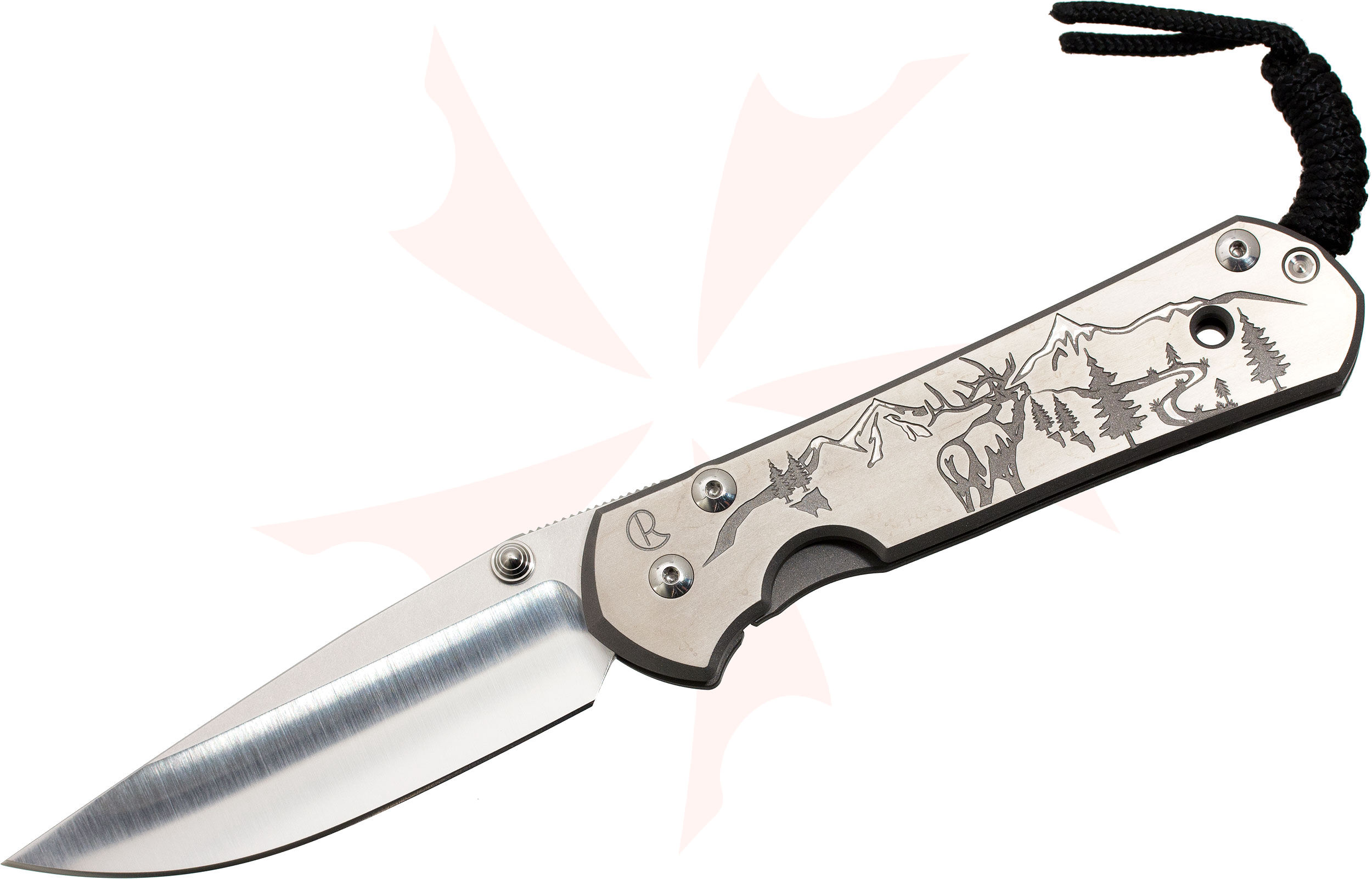 Chris Reeve Large Sebenza 21 Elk Mountain CGG 3.625