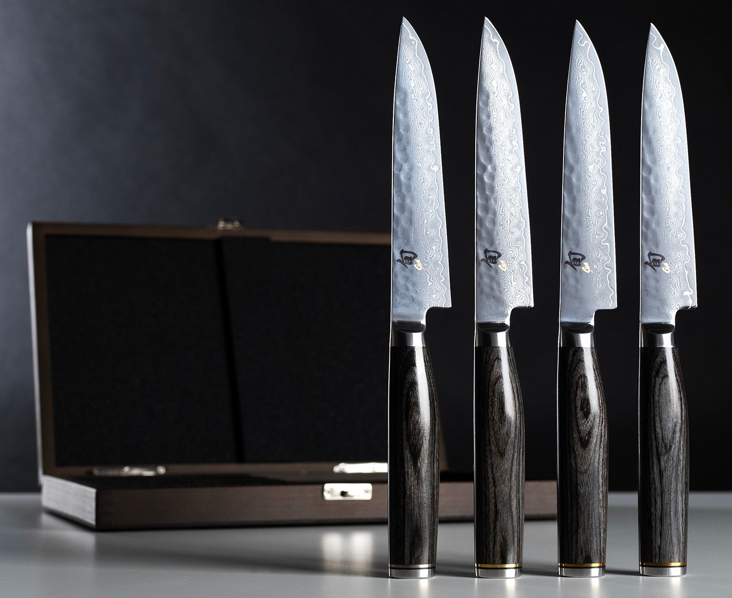 C&g Outdoors 21 Piece Stainless Steel Steak Knife Set