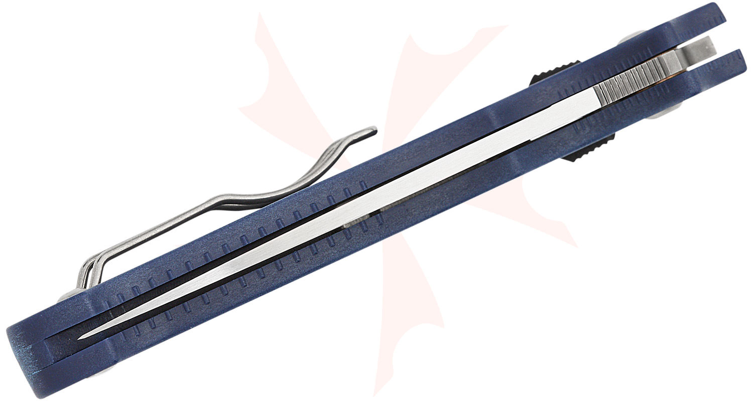 ミニイカタコ　02 Amazon.com: 2 Coil Ignition Magneto Stator Plate for 50 70