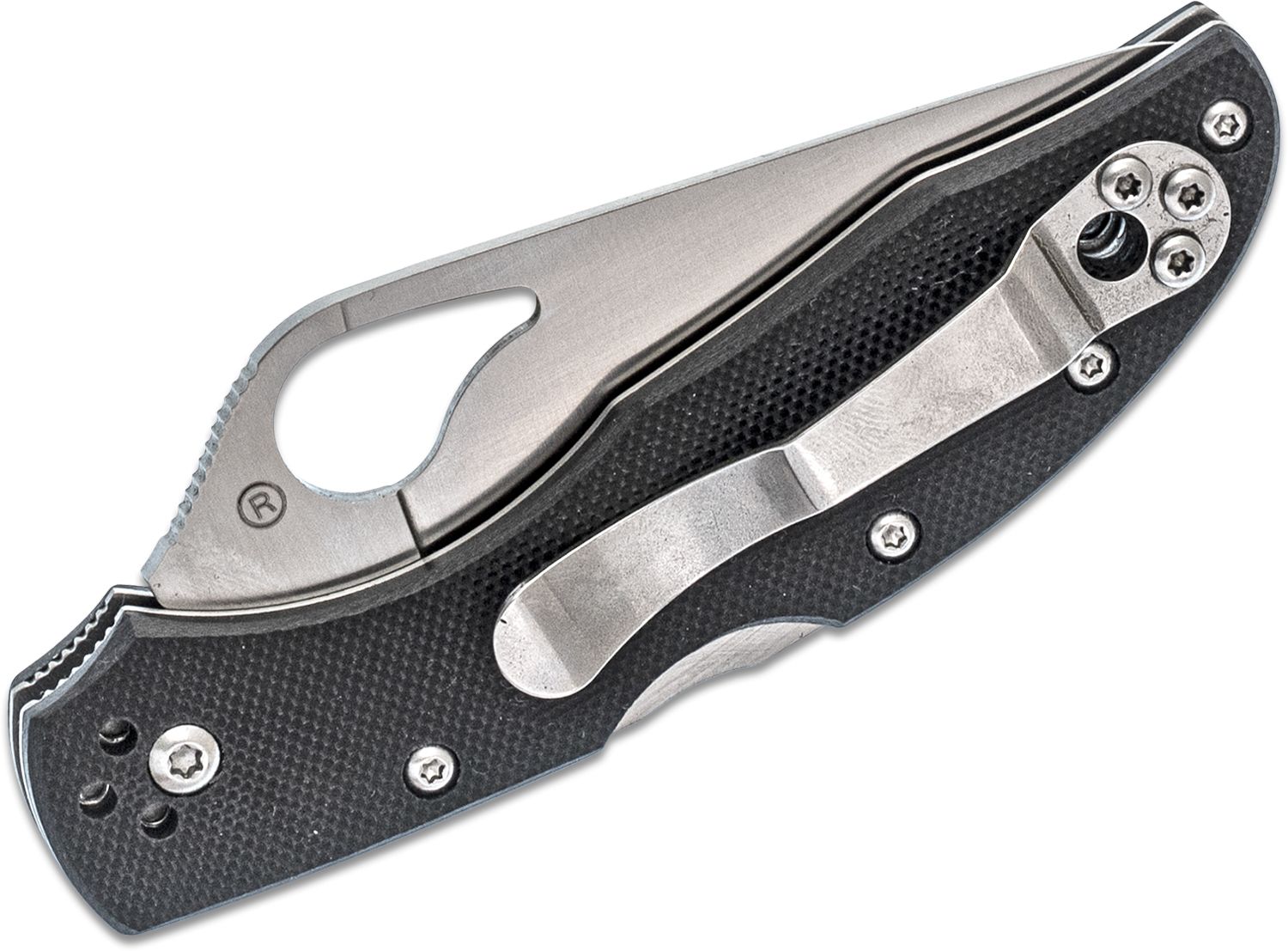 Spyderco Byrd BY04GP2 Meadowlark 2 Folding Knife 2-7/8