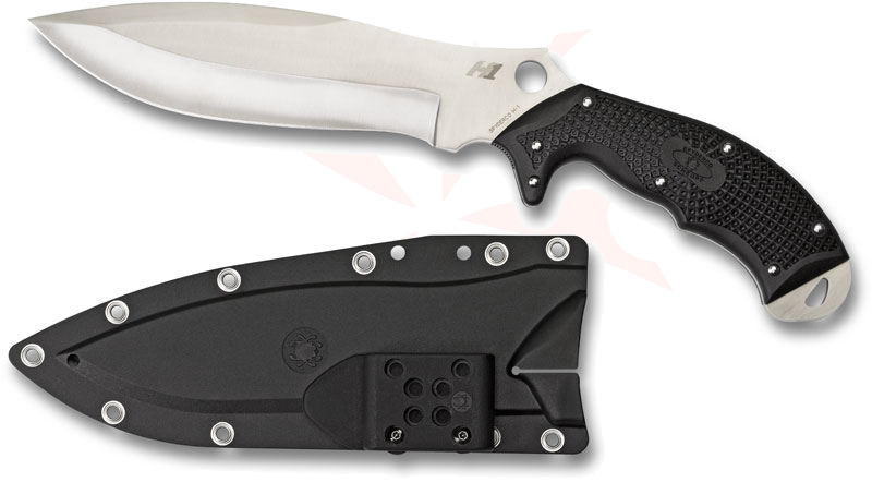 SALTページ Salt Crystals, w.m., Microscope Slides | Carolina Biological