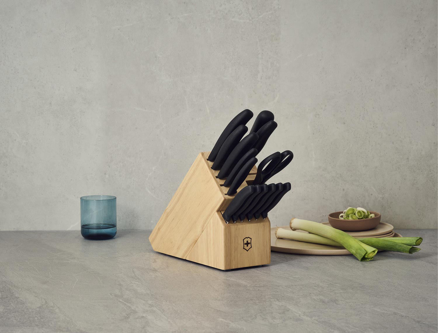 Victorinox Swiss Classic 15 Piece Kitchen Block Set, Black TPE