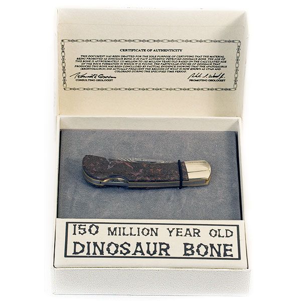 150 Million Year Old Dinosaur Bone Folding Knife 2-1/4