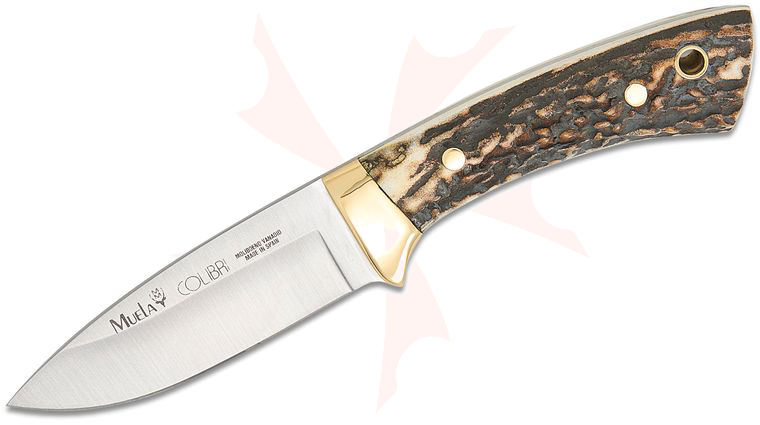 Muela Colibri Stag Fixed Blade Knife 2.83 inch 4116 Satin Drop Point Blade, Stag Handles with Brass Bolsters, Leather Sheath