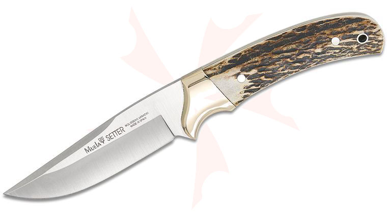 Muela Setter Fixed Blade Knife 4.33 inch MoVa Satin Drop Point Blade, Stag Handles with Nickel Silver Bolsters, Leather Sheath