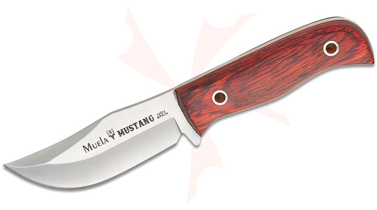 Muela Mustang Fixed Blade Knife 3.27 inch X50CrMoV15 Satin Skinner Blade, Red Sandalwood Handles, Leather Sheath