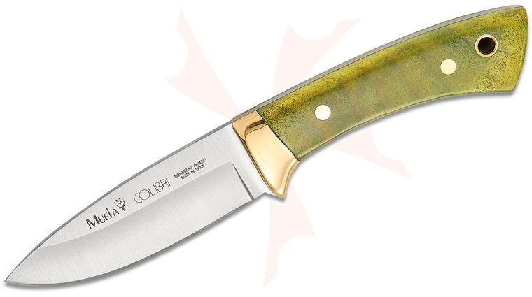 Muela Colibri COL-7.TO Fixed Blade Knife 2.87 inch X50CrMoV15 Satin Drop Point Blade, Green Maple Wood Handles with Brass Bolster, Leather Sheath