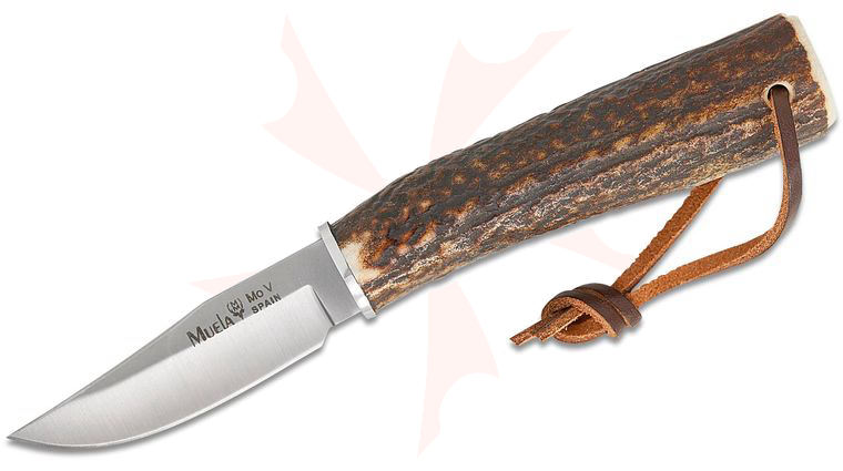 Muela BW-6A Fixed Blade Knife 2.36 inch X50CrMoV15 Satin Clip Point Blade, Genuine Stag Horn Handle, Leather Sheath