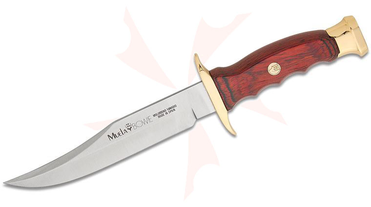 Muela BW-16 Fixed Blade Knife 6.14 inch X50CrMoV15 Satin Bowie Blade, Coral Pakkawood Handle with Brass Pommel and Guard, Leather Sheath