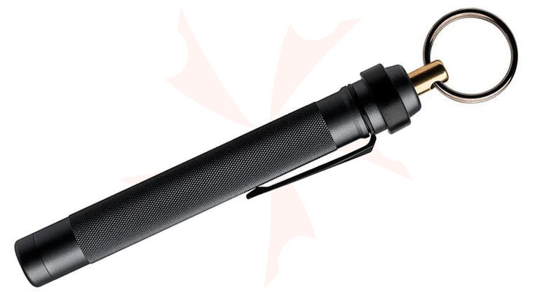 ASP Metro Defender D2 (Black) 5.5 inch Keyring Baton Pepper Spray
