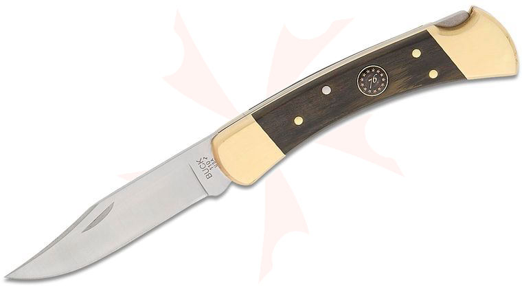 Buck 110 Limited America 250 Edition Lockback Folding Hunter 3.75 inch 420HC Satin Clip Point Blade, Ebony Wood Handles with Brass Bolsters and Engraved 76 Medallion, Brown Leather Sheath (0110BRSUSA1)