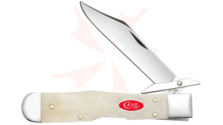 Case Smooth Natural Bone Cheetah Cub Pocket Knife 3.5 inch Closed (611 1/2L SS)