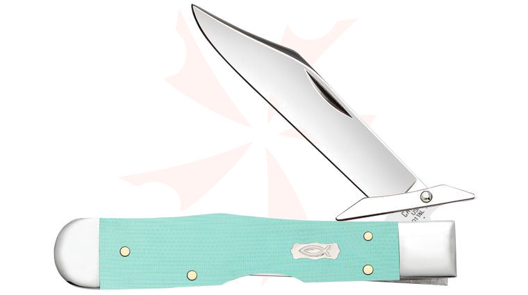 Case Smooth Seafoam Green G10 Cheetah Cub Pocket Knife 3.5 inch Closed (1011 1/2L SS)
