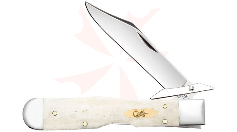 Case Smooth Natural Bone Cheetah Cub Pocket Knife 3.5 inch Closed (611 1/2L SS)