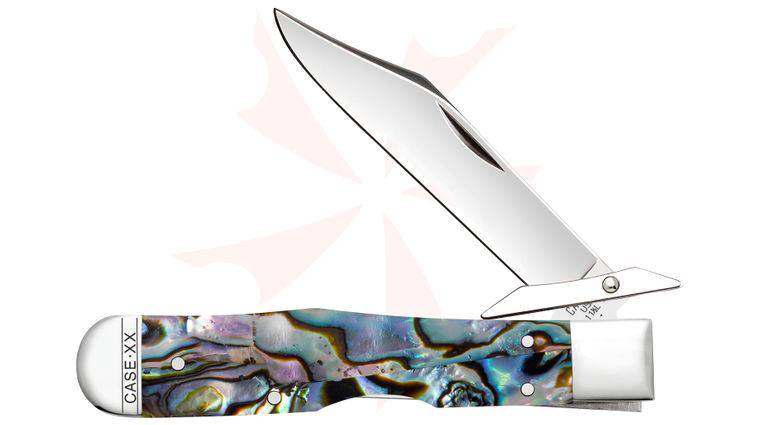 Case Smooth Abalone Cheetah Cub Pocket Knife 3.5 inch Closed (811 1/2L SS)